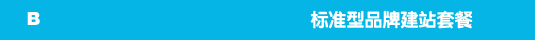 标准型品牌建站套餐
