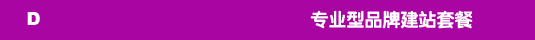 专业型品牌建站套餐