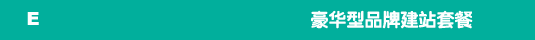 豪华型品牌建站套餐